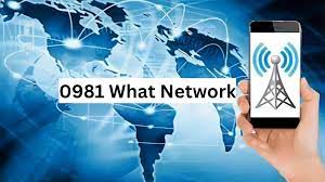 0981 What Network: From Stock Phenomenon to Telecom Prefix Insight
