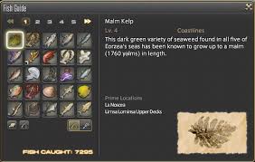 FFXIV Fishing Guide: Level Up Your Fishing Fast