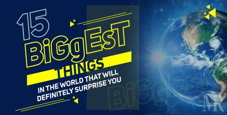 What Is the Biggest Thing in the World?