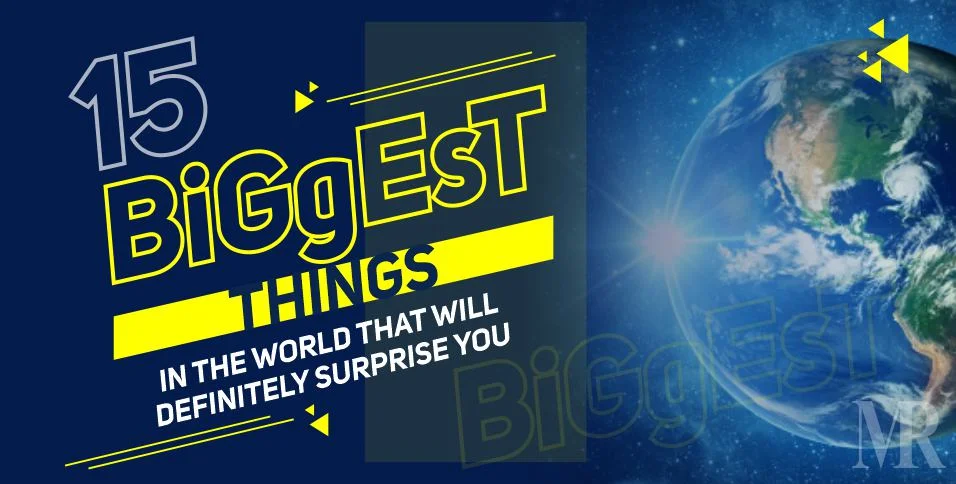 what is the biggest thing in the world