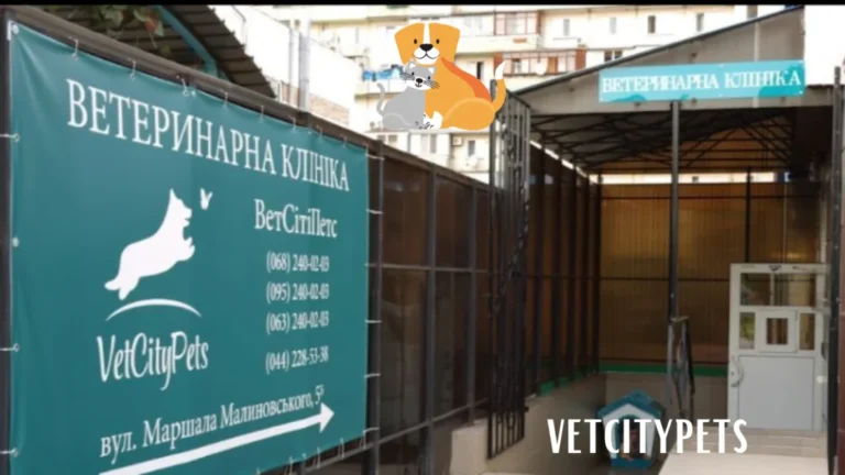 Comprehensive Guide to ветеринарная клиника vetcitypets